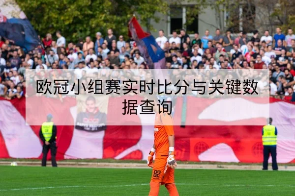 欧冠小组赛实时比分与关键数据查询